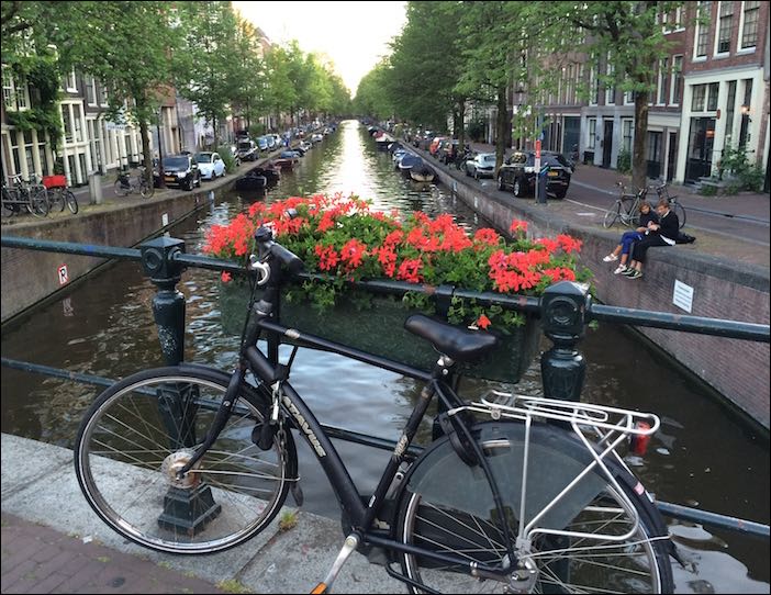 Bikes and flowers (Amsterdam, Netherlands)